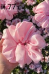 Lily 077-Satin Scrunchie